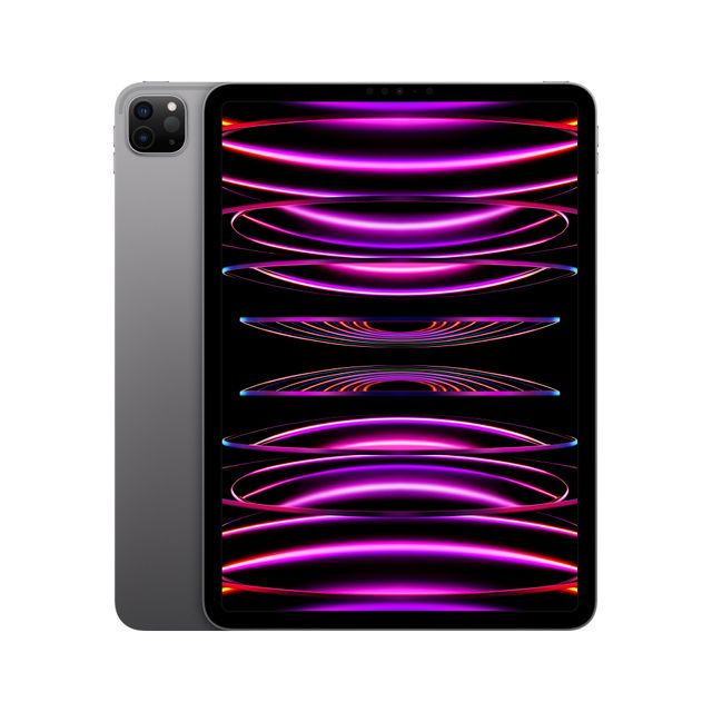 Apple 11-inch iPad Pro (Wi-Fi, 256GB) - Space Grey (4th generation)