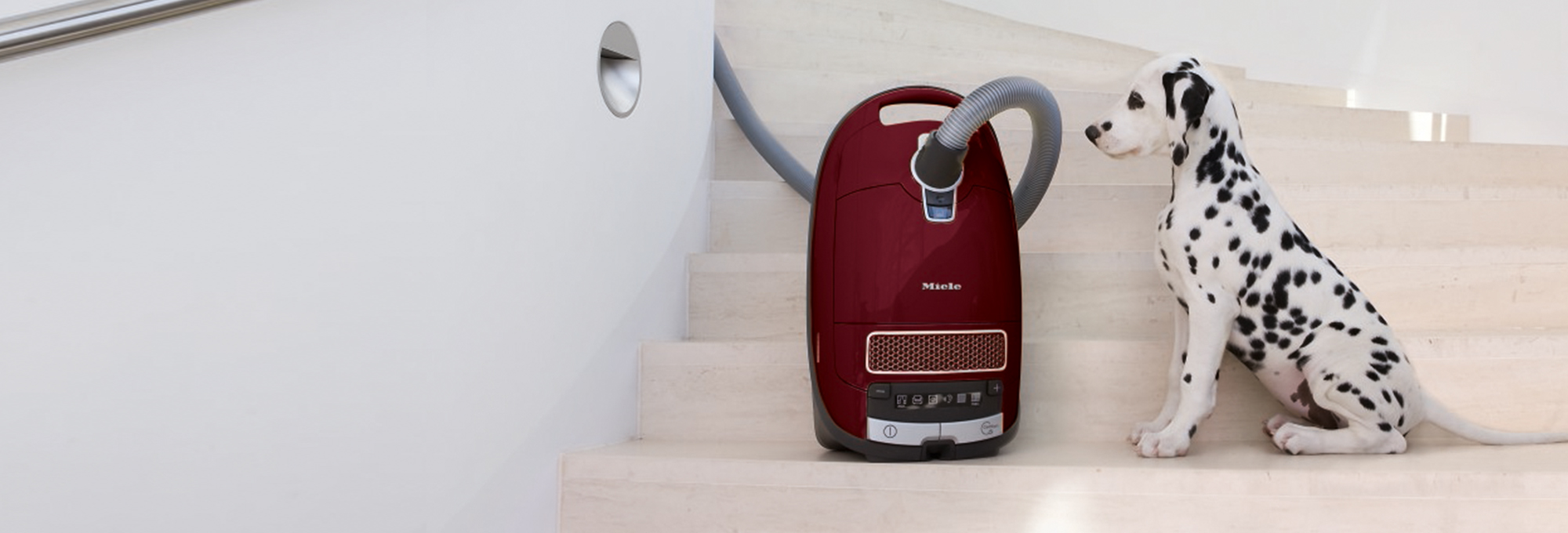 Miele Complete C3 Cat & Dog PowerLine Cylinder Vacuum Cleaner Bagged 2