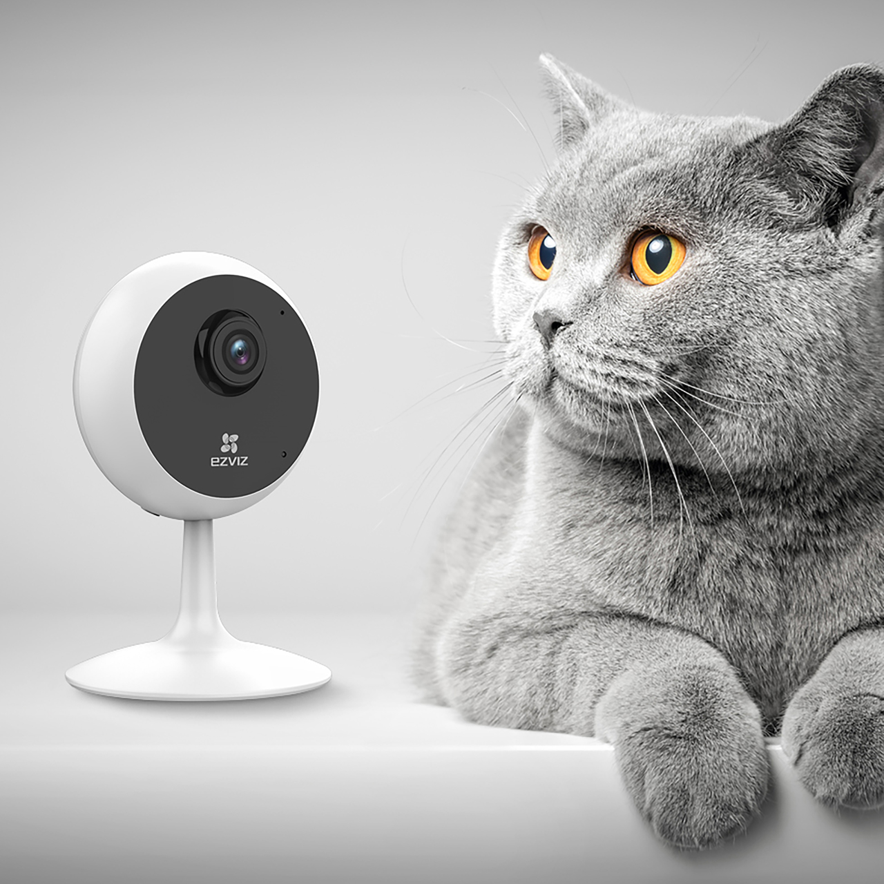 EZVIZ C1C WIFI Indoor Smart Home Security Camera White 5060563450709 eBay