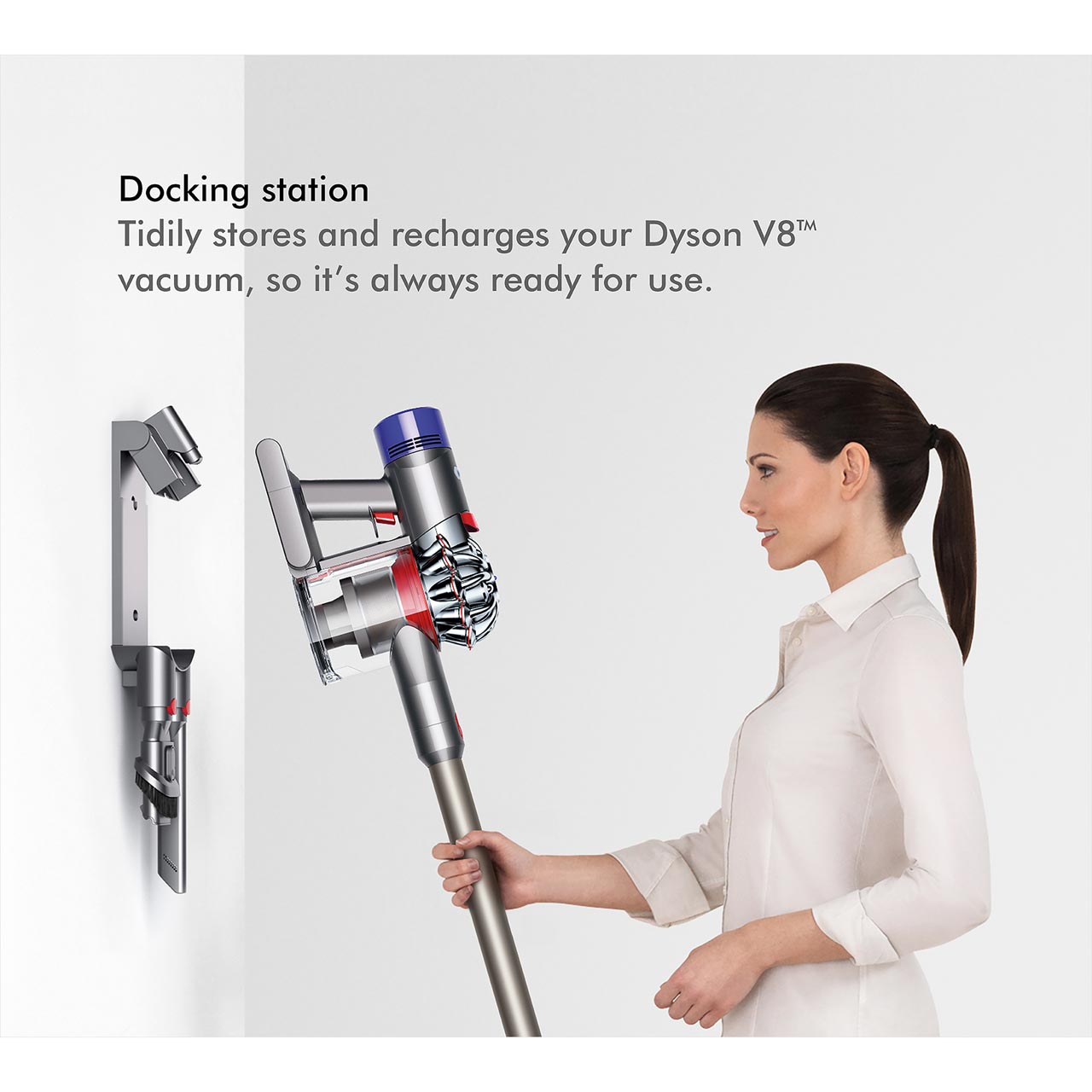 Dyson Animal V8 Manufacturer Warranty